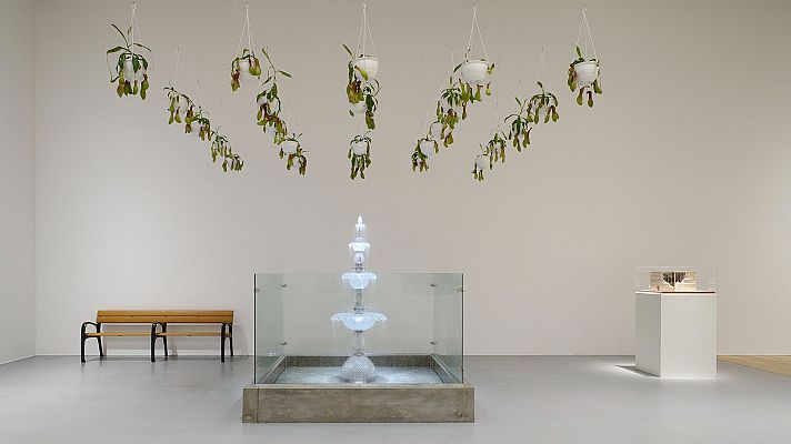 Metrópolis - Remedios