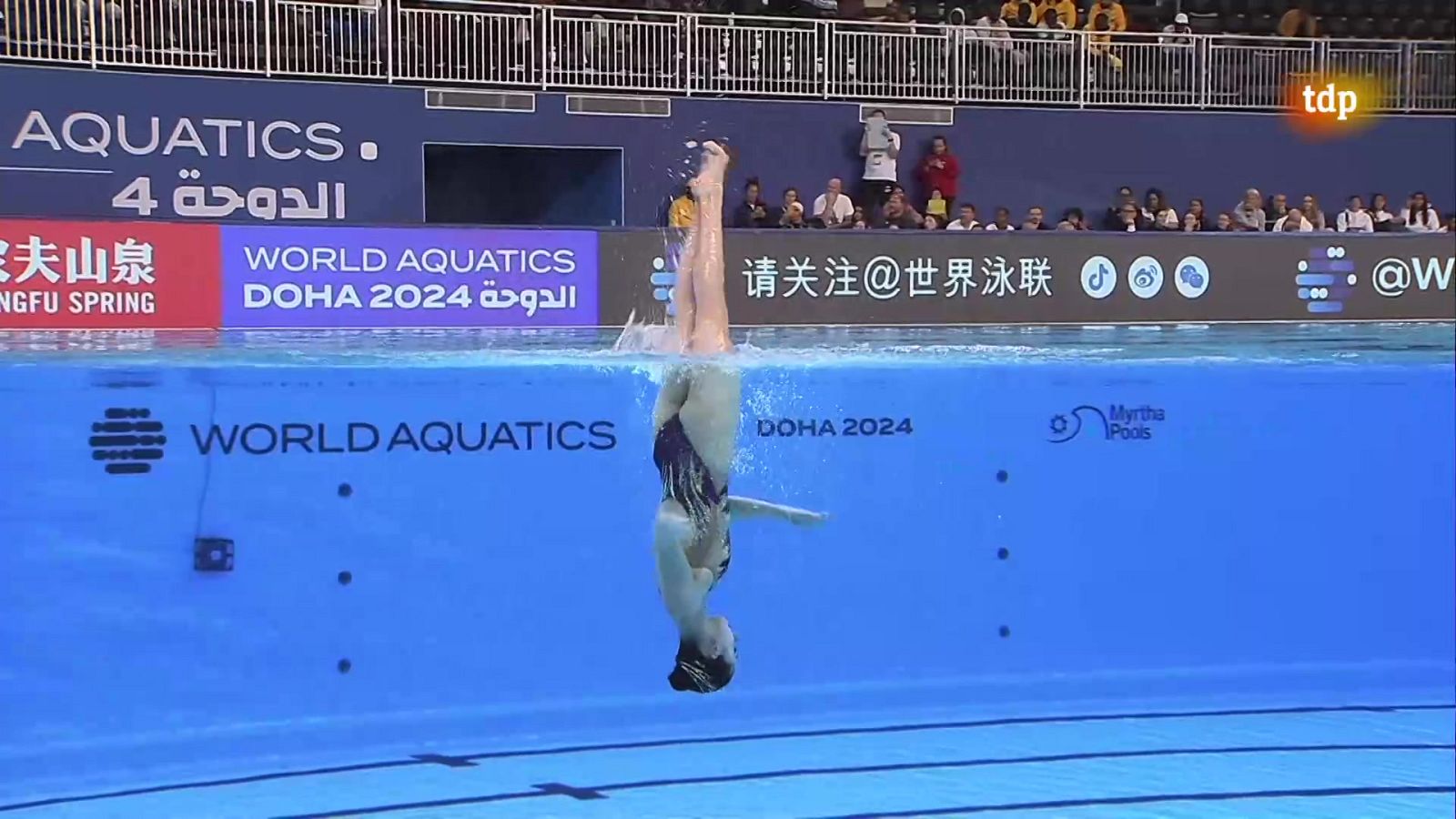 Natación artística - Campeonato del Mundo. Final solo libre femenino - ver ahora