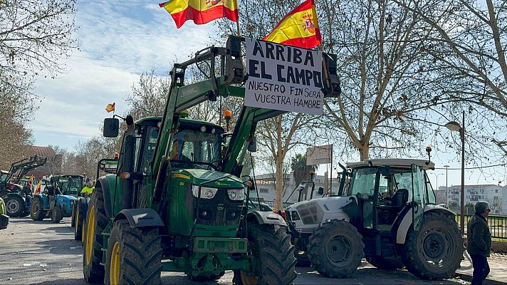 Telediario Matinal - Telediario - 8 horas - 07/02/24
