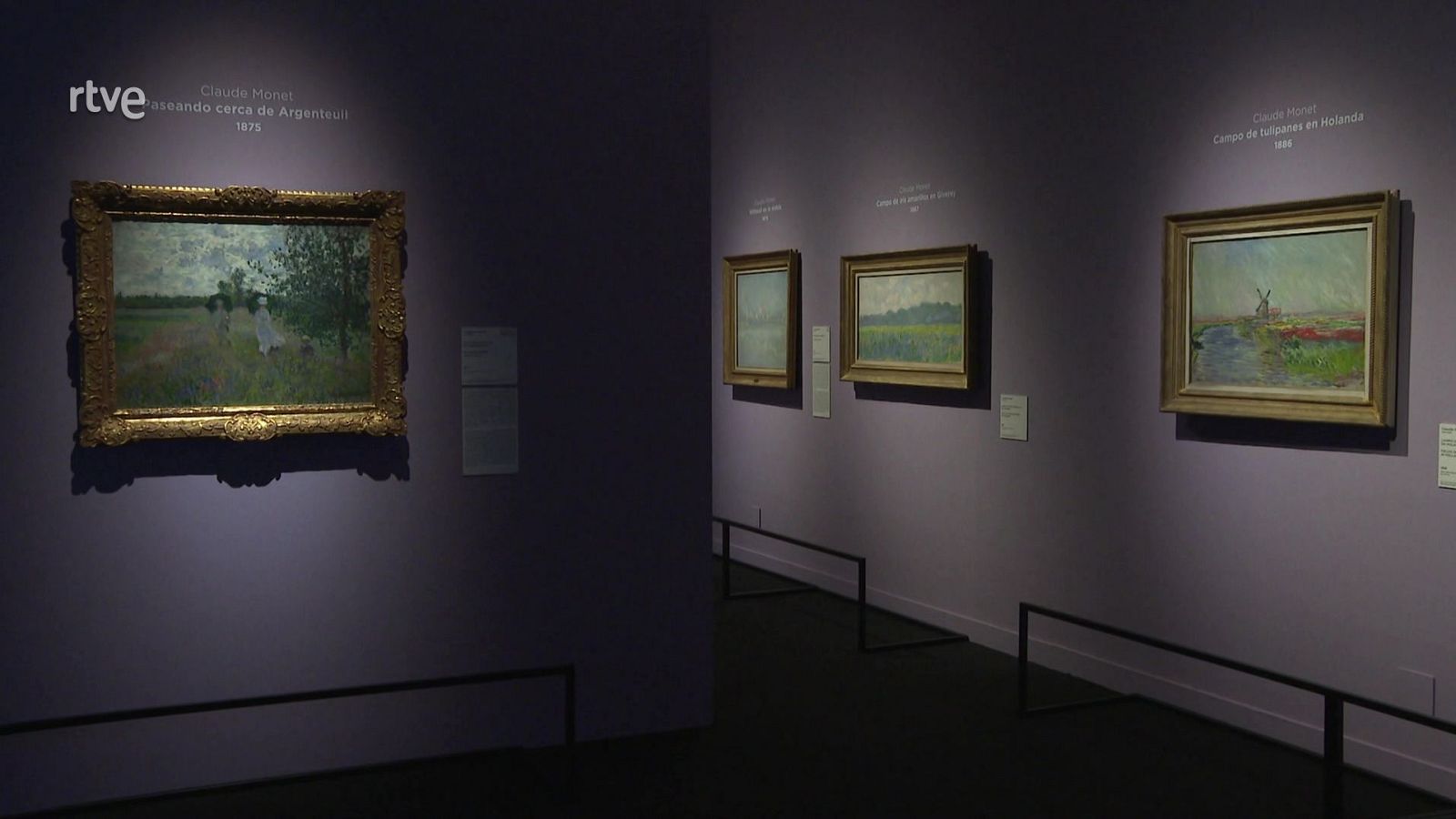 Exposición Monet - Atención obras | Ver