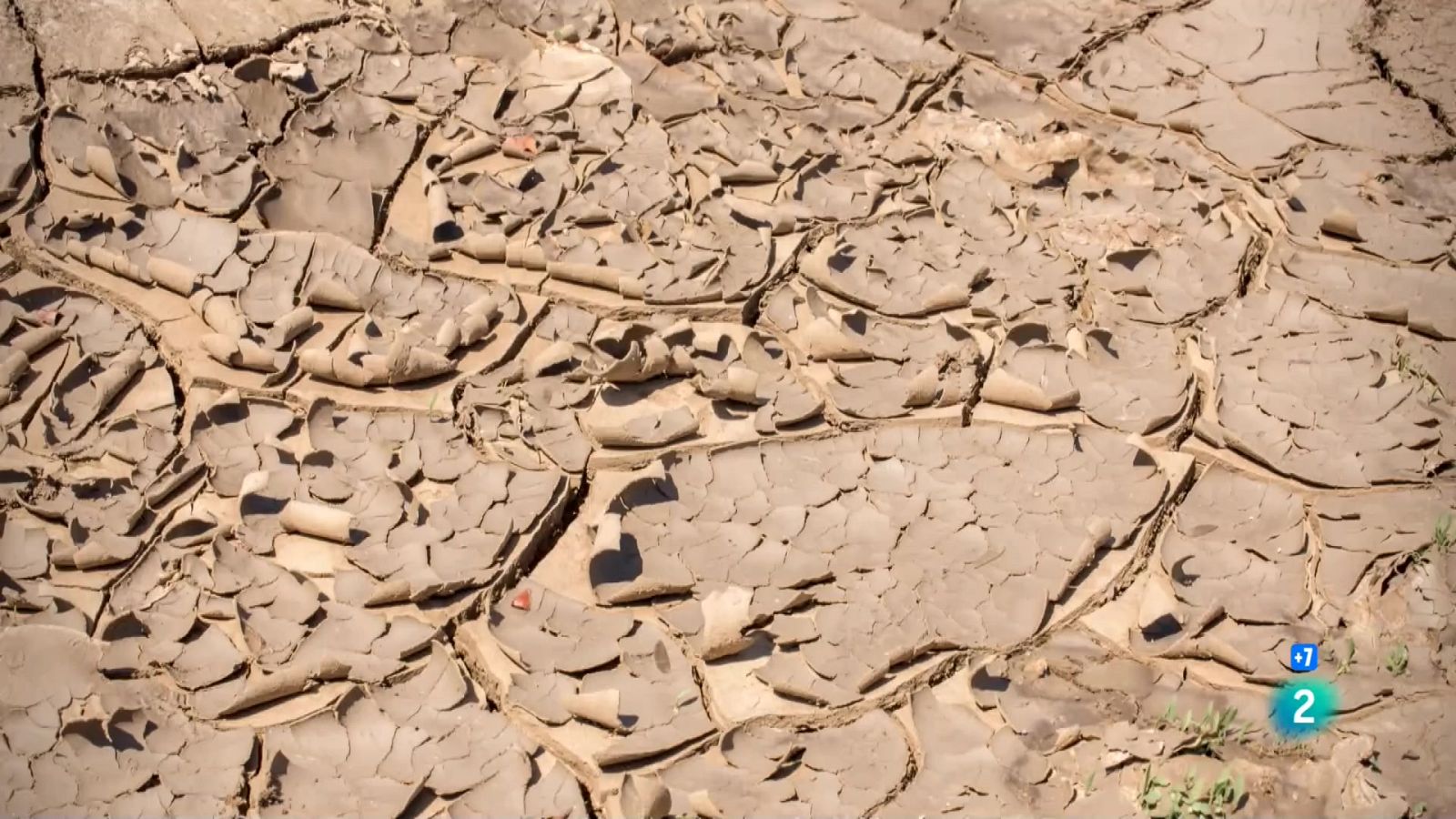 La gran sequera: La vida al forn - Veure ara