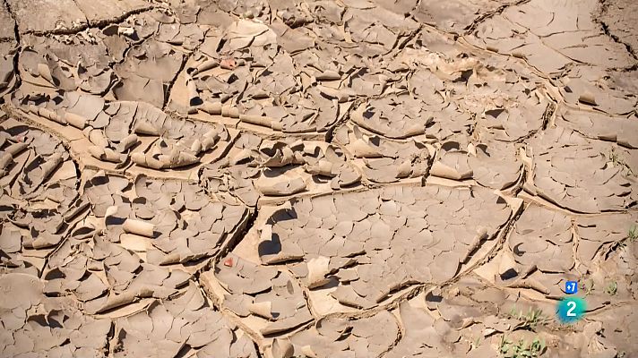 Som Documentals - La gran sequera: La vida al forn