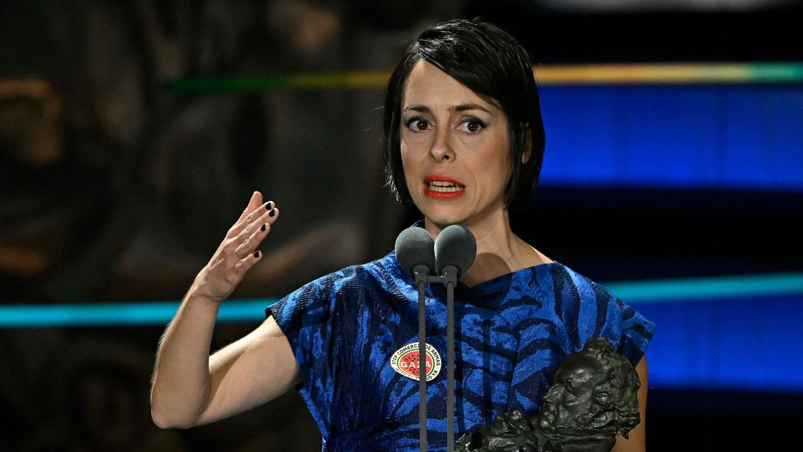 Premios Goya 2024 - Gala Premios Goya 2024 en lengua de signos - Ver ahora