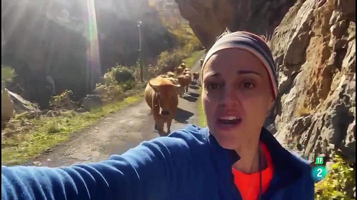 La aventura del Saber - Lucía Velasco: La voz de una ganadera