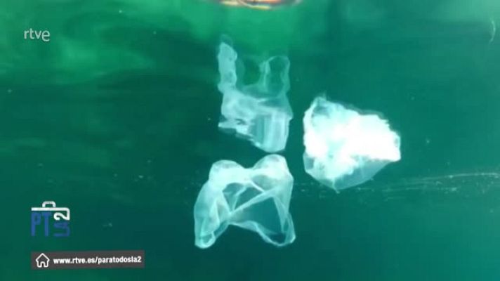 Para todos La 2 - Sección de medio ambiente con Fernando Valladares