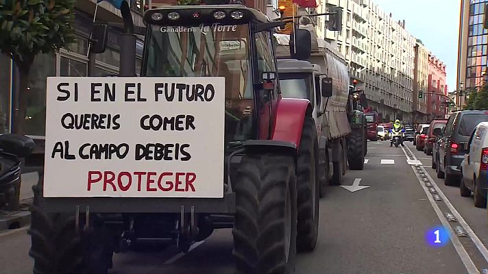 Panorama Regional - Panorama Regional 2 - 08/02/24