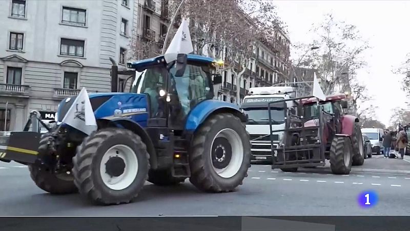 L'Informatiu 2 - 08/02/2024 - L'Informatiu | Veure