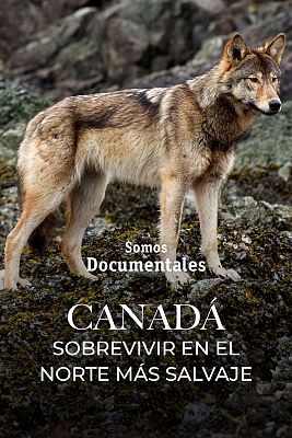 Canadá. Sobrevivir en el norte más salvaje