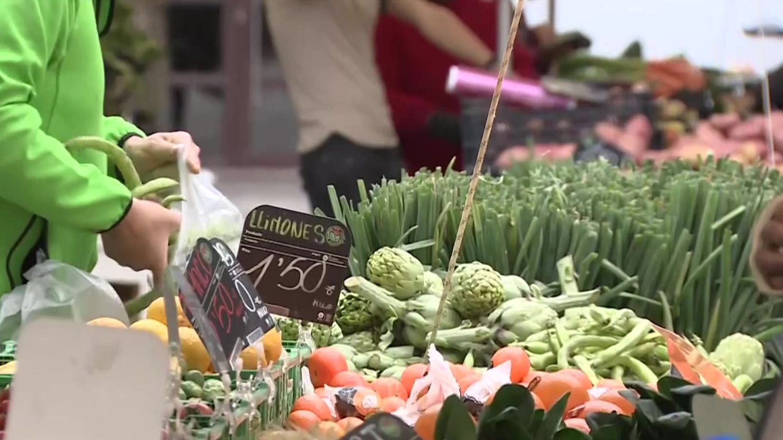 La manca d'aigua agreuja la situació al camp - L'Informatiu | Ver