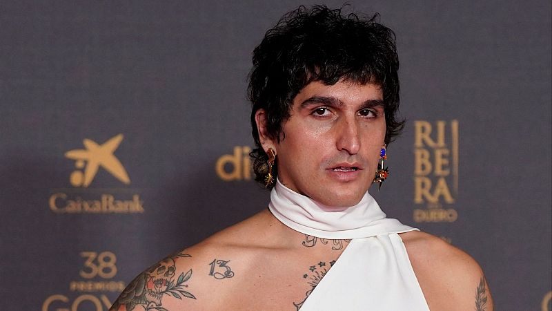 La Dani, sobre los derechos LGTBI en los Goya 2024: "Las cosas estn cambiando, pero no han cambiado todava" - Premios Goya | Ver