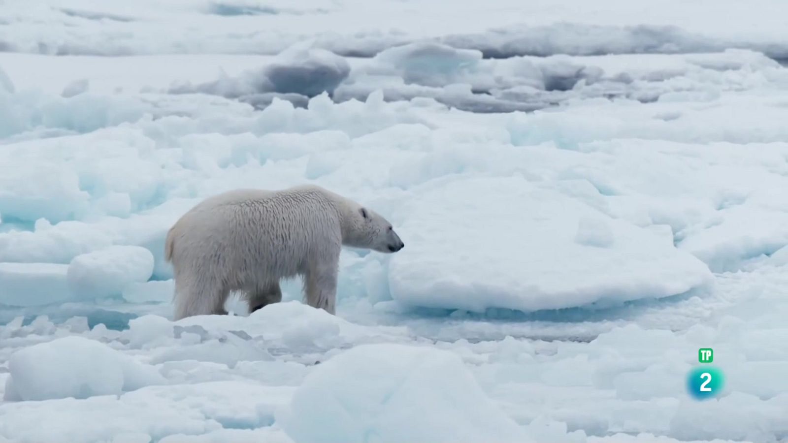 Grans Documentals - Paradisos nevats - Veure ara