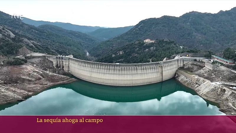 La sequía ahoga el campo