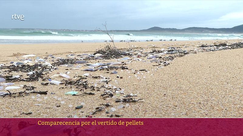 Comparecencia por el vertido de pellets | Ver