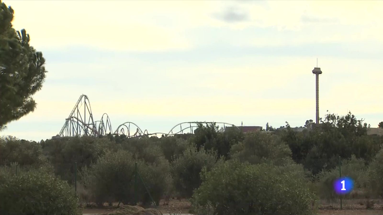 Dues persones en estat crític per la caiguda d'un arbre a Port Aventura - L'Informatiu | Ver