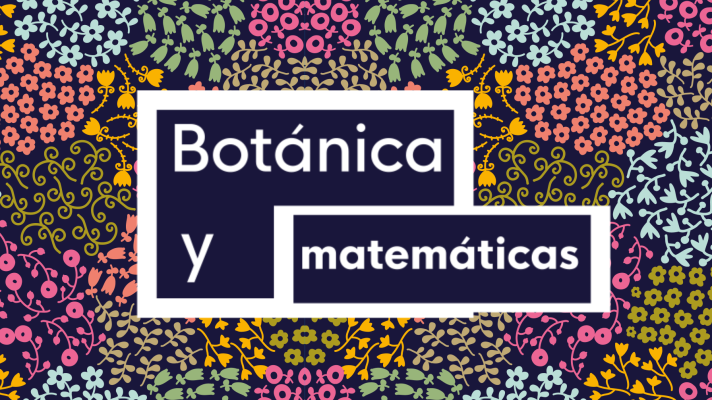 Noticias Andalucía - Jardín matemático