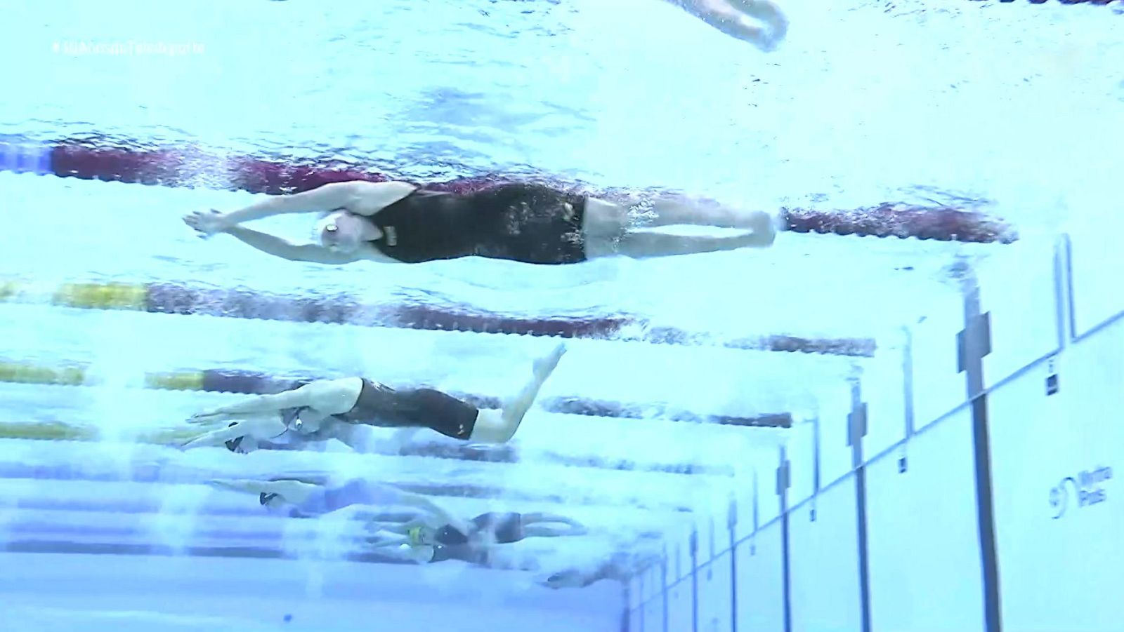 Natación - Campeonato del Mundo. Sesión vespertina. Semifinales y Finales - 12/02/24 - ver ahora