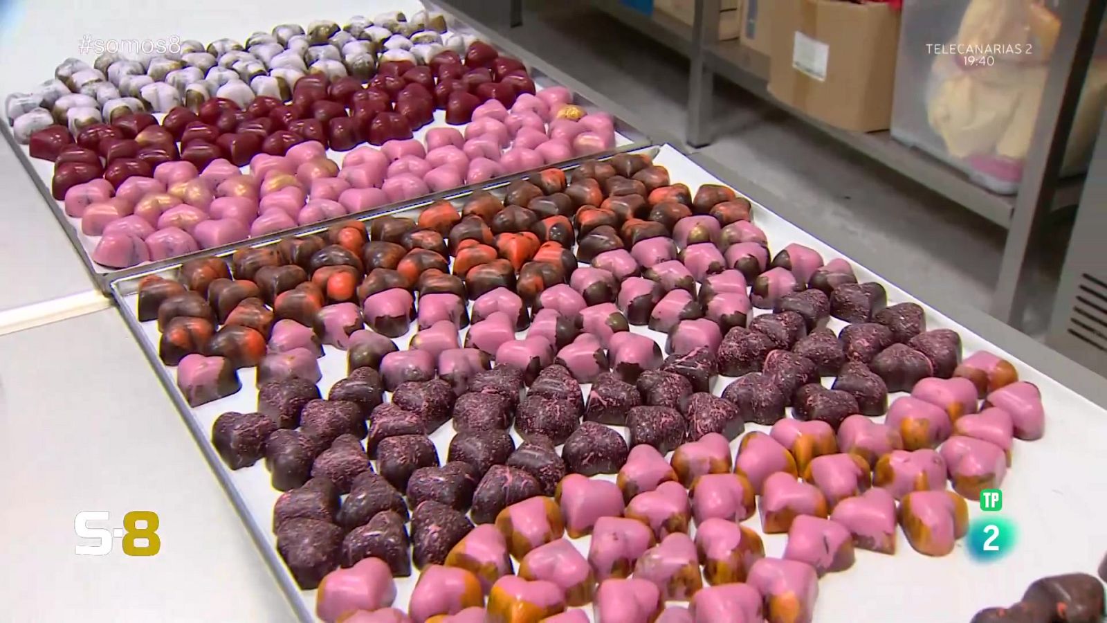 Somos 8 - 12/02/2024 - Somos 8 | Ver