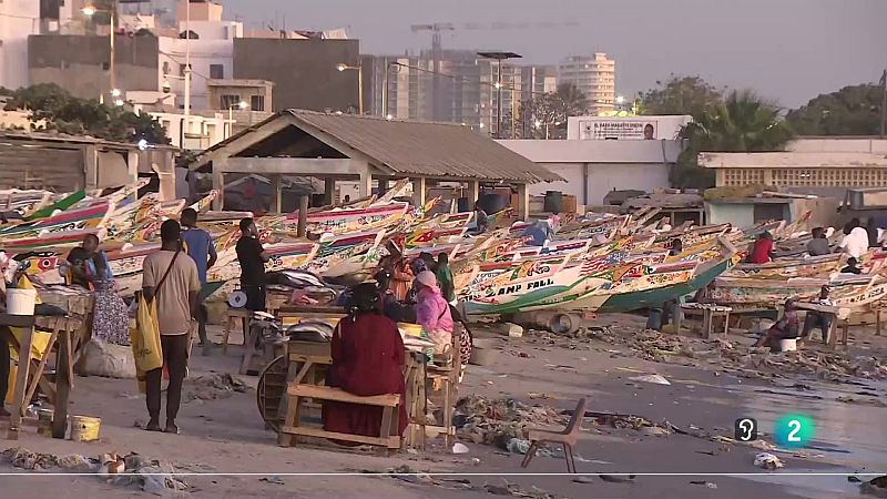 Telecanarias 2 - 12/02/2024 | Ver