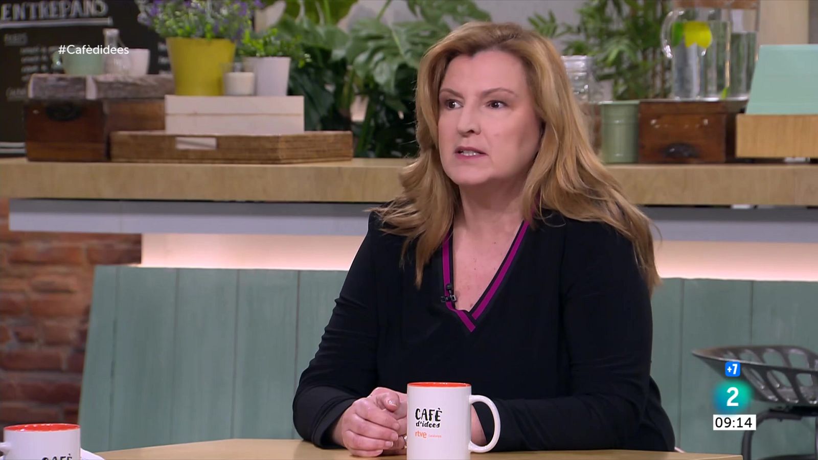 Agrònoms: "Crida més una frase d'ecologisme radical que la realitat" - Cafè d'idees | Veure