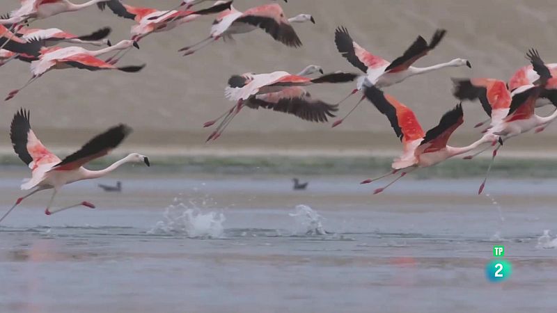 Noticiero Científico y Cultural Iberoamericano | Ver