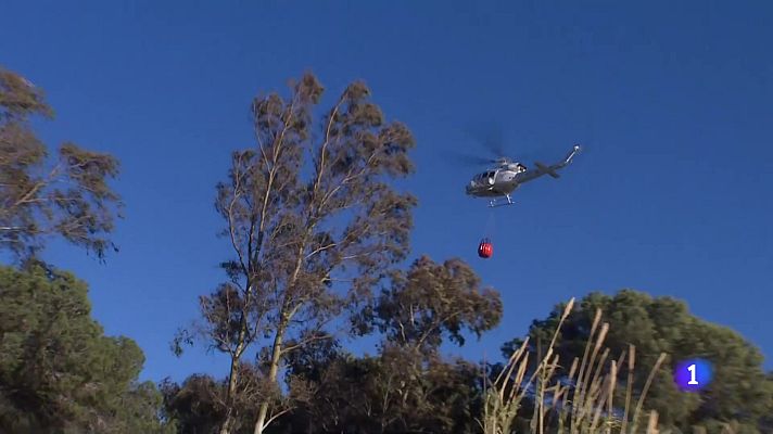 L'informatiu - Comunitat Valenciana - L'Informatiu Comunitat Valenciana 1 - 13/02/24