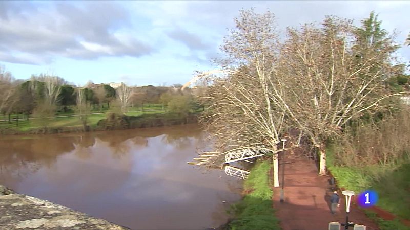 Las alergias se han vuelto más duraderas e intensas a causa del cambio climático