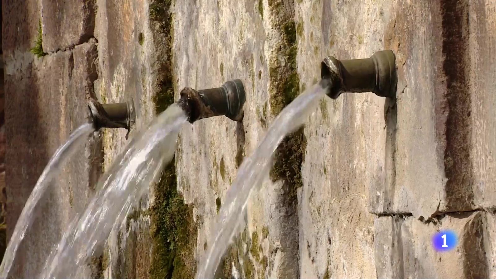 Informativo Telerioja 2 - 13-02-2024 - Informativo Telerioja | Ver