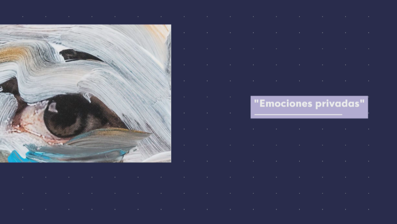 Emociones Privadas - Noticias Andalucía | Ver