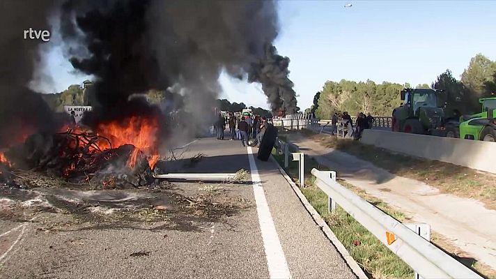 Informativo 24h - Informativo 24 horas - 20h - 13/02/24