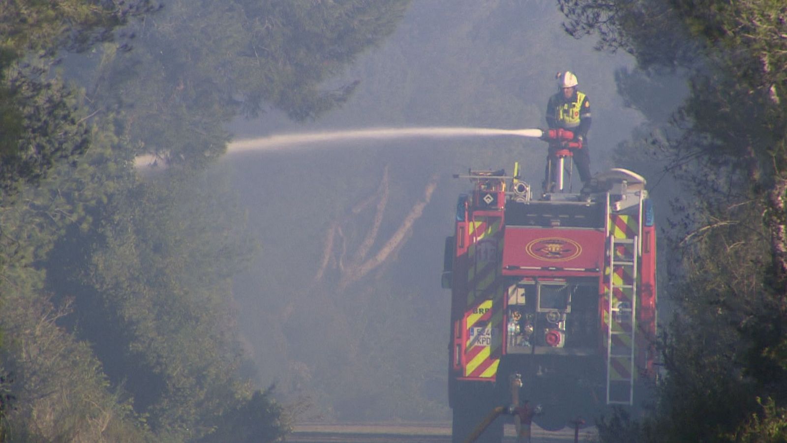 Estabilizado el fuego del Saler, el decimoséptimo incendio en la zona desde verano | Ver