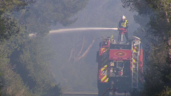 L'informatiu - Comunitat Valenciana - Estabilizado el fuego del Saler, el decimoséptimo incendio en la zona desde verano