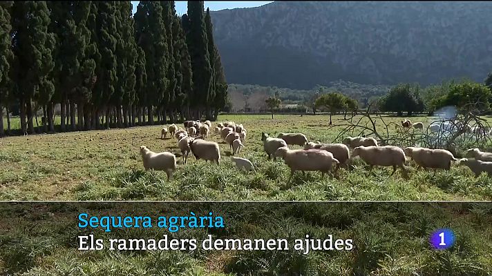 Informatiu Balear - Informatiu Balear 2 - 14/02/24