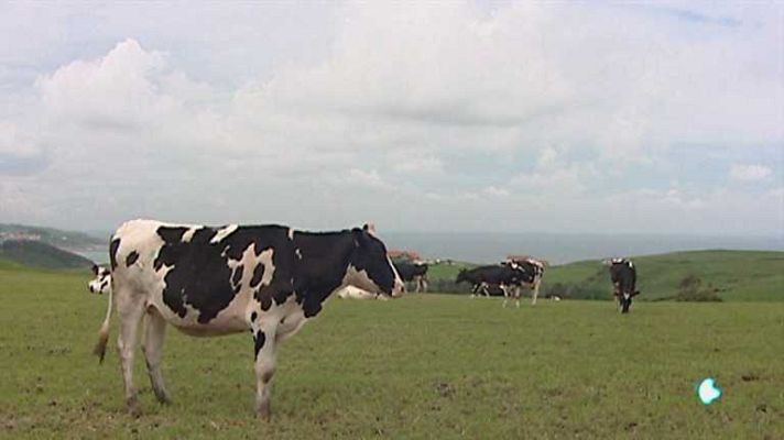 Agrosfera - Agrosfera - 01/12/12