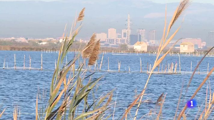 L'informatiu - Comunitat Valenciana - L'Informatiu Comunitat Valenciana 2 - 14/02/24