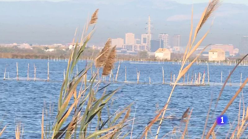 L'Informatiu Comunitat Valenciana 2 - 14/02/24 | Ver