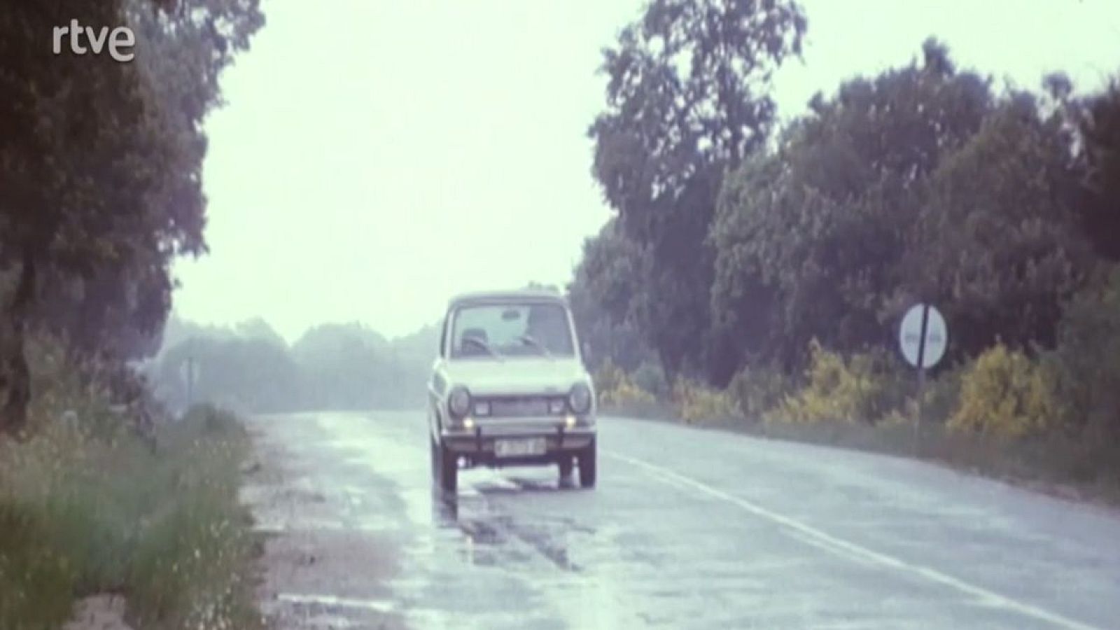 La segunda oportunidad - Curva con agua - La segunda oportunidad | Ver