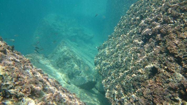 Telediario 1 - Minas submarinas en España: ¿una alternativa a las tradicionales?