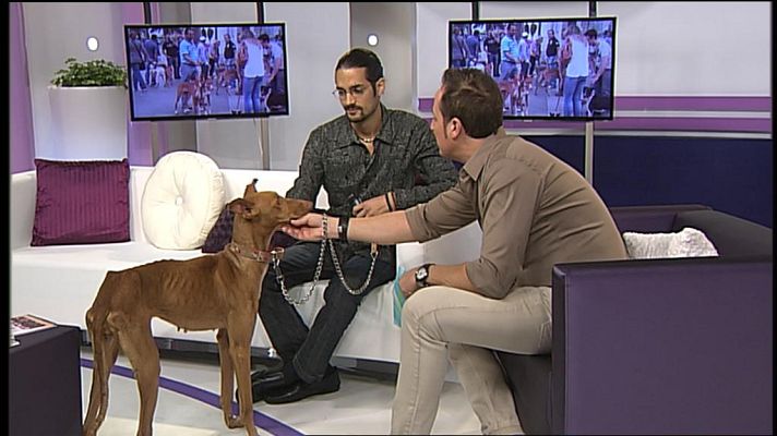 Cerca de ti - Cerca de ti - 29/11/12