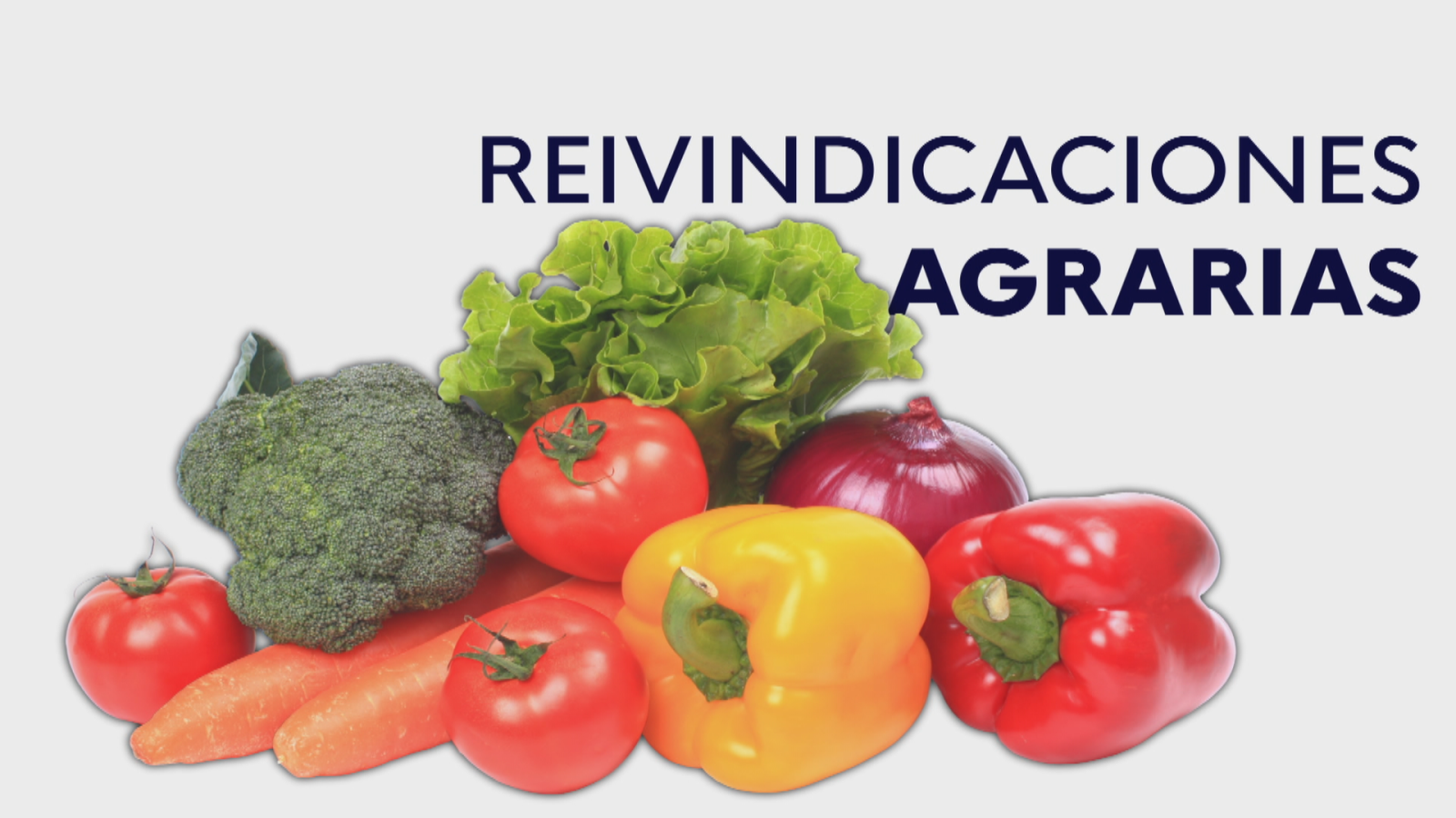 Algeciras, frontera Agroalimentaria - Noticias Andalucía | Ver