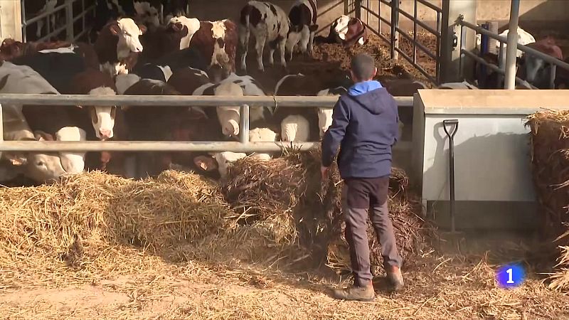 L'informatiu 2 - 15/02/2024 - L'Informatiu | Veure