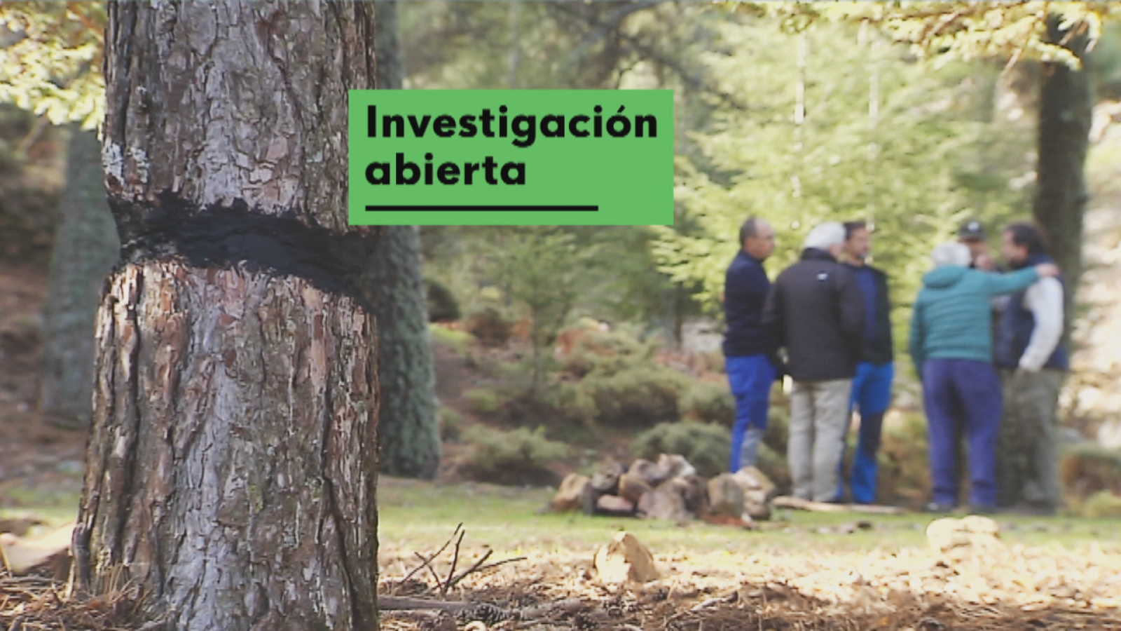 Ataque bosques - Noticias Andalucía | Ver