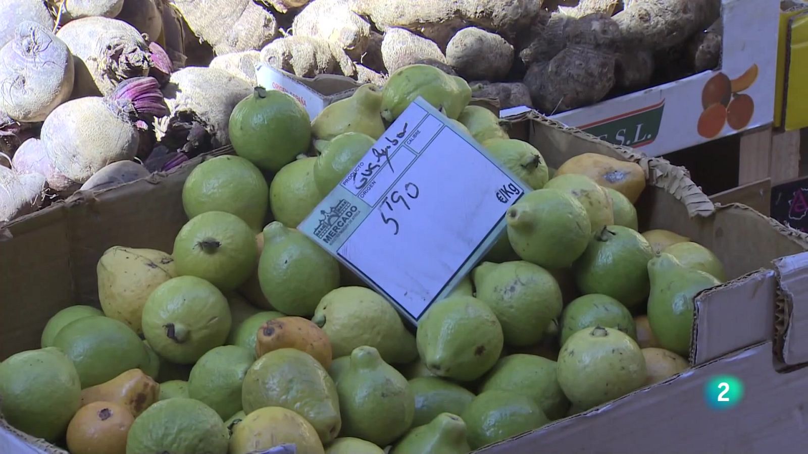 Telecanarias 2 - 15/02/2024 | Ver