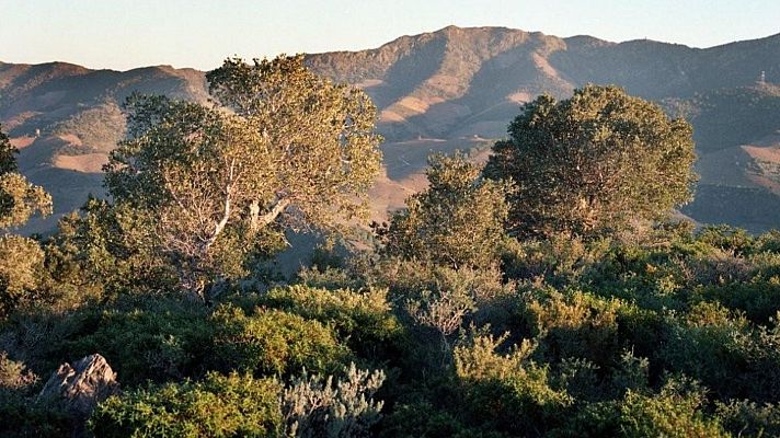 Para todos La 2 - Para todos La 2 - 17/02/24