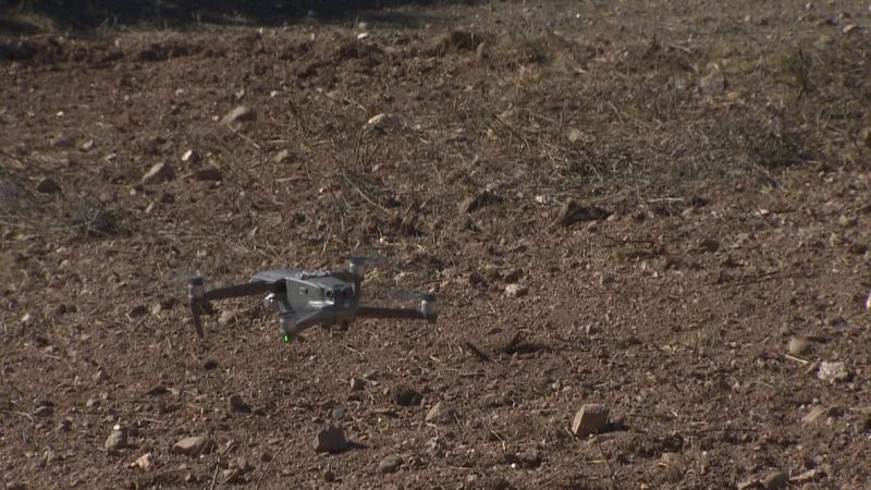 Els boscos més secs en un mes de febrer - L'Informatiu | Ver