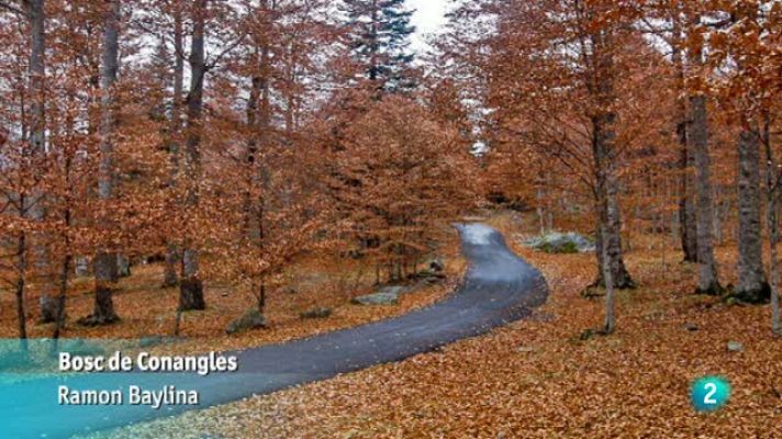 L'Informatiu - Les fotografies de "El temps"