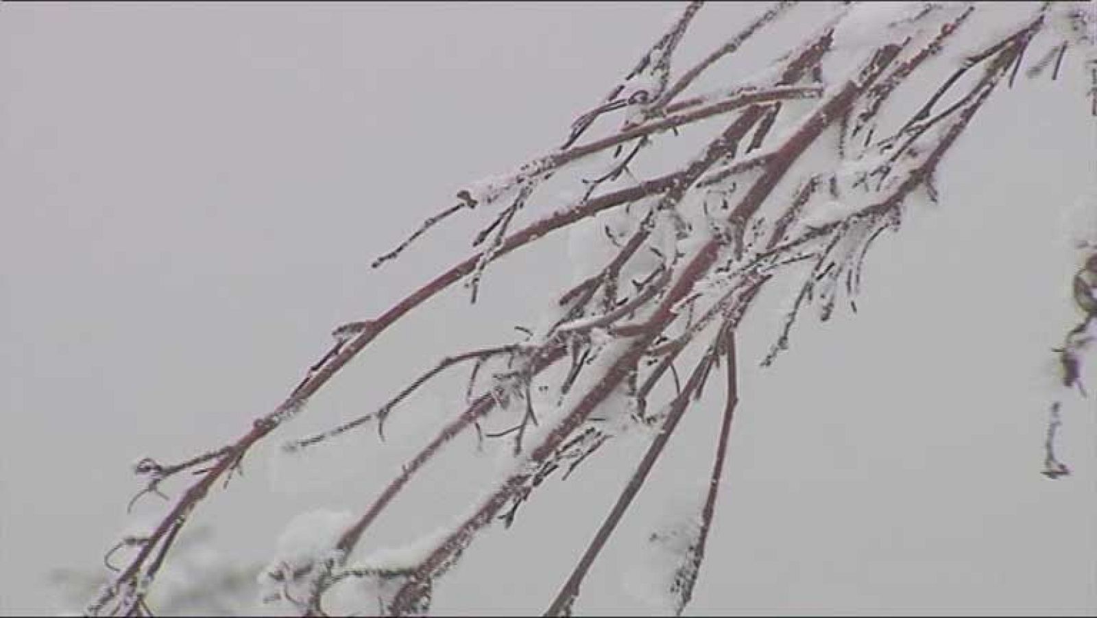 Nevadas en los Pirineos y heladas en el norte y centro de la península