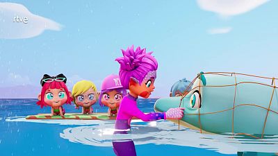 Surfeando con delfines en California - Trotties | Ver