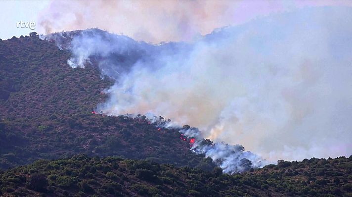 Parlamento - Parlamento-El Reportaje-Informe Incendios