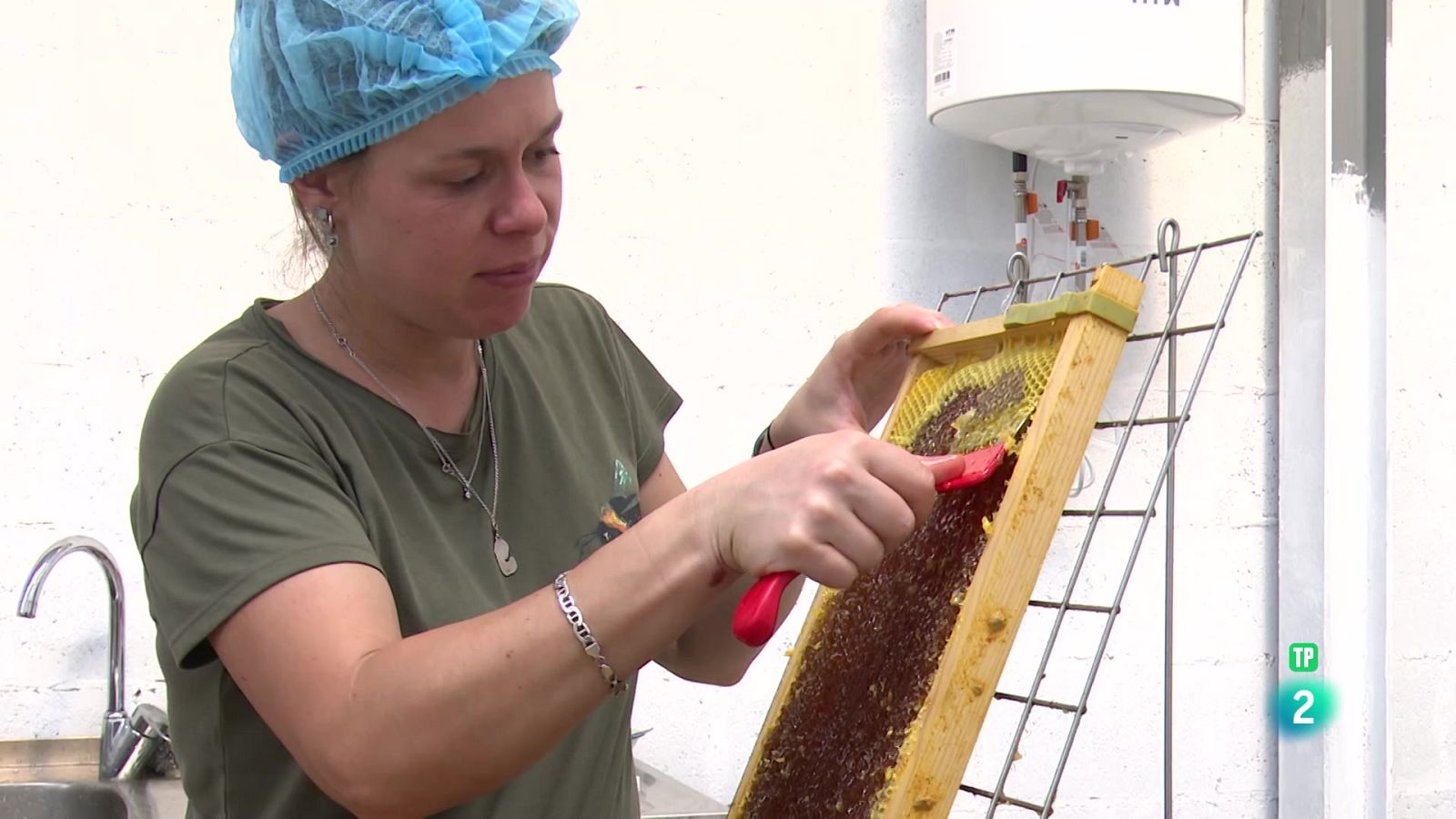 Ana Olmo. Dulce diversificación | Ver