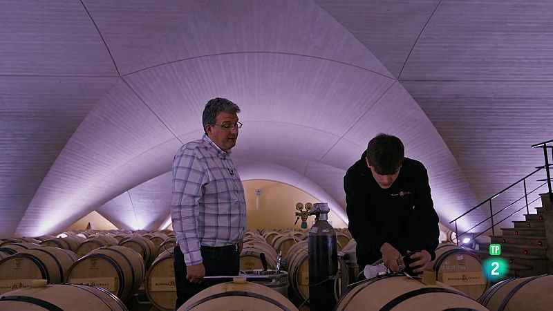 Qué quiero ser de mayor: Industrias Alimentarias | Ver